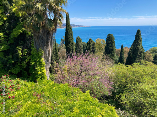 Giardini Hanbury mit der Villa Hanbury bei Ventimiglia, Italien