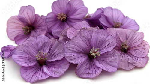   A cluster of purple blossoms perched on a white countertop with water splashes on their petals