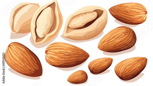 Whole and cut almond nuts vector illustration isola photo