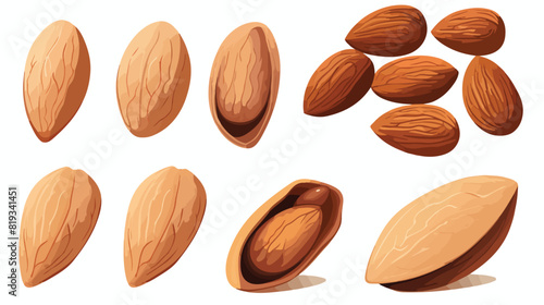 Whole and cut almond nuts vector illustration isola