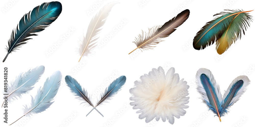 A collection of a variety of feathers arranged in different ways, PNG with transparent background, AI A collection of a variety of feathers arranged in different ways, PNG with transparent background, AI