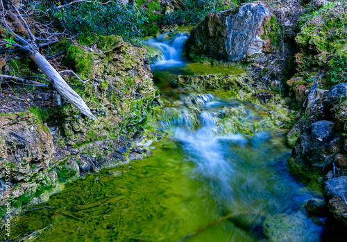 Pristine Stream Flowing Through Mossy Rocks in Forest