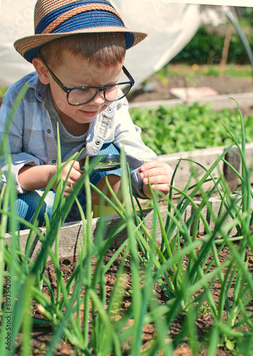 A boy with a magnifying glass in his hands studies plants in a garden bed, biology. Child in glasses and straw hat looking for bugs and other living creatures in the grass, Exploring nature, happy