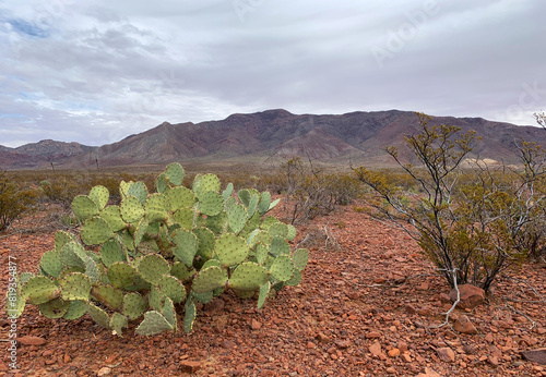 Canvas Print Landscape view in Franklin mountains, El Paso Texas