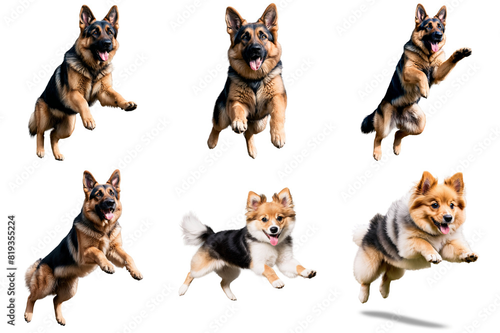 A set of a German Shepherd dog and other dogs jumping in different poses, PNG with transparent background, AI