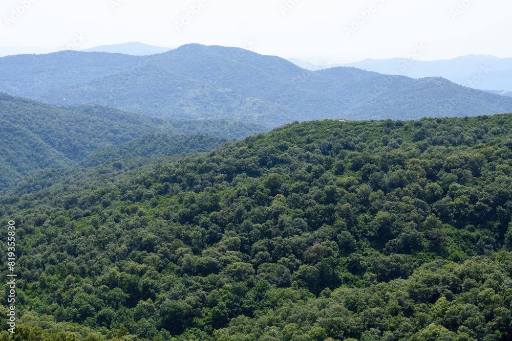 Scenic view of dense forests in Jijel, Algeria Scenic view of dense forests in Jijel, Algeria