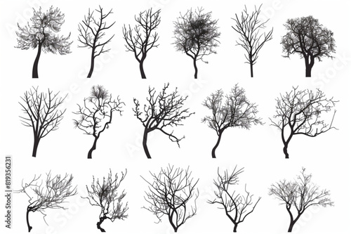 Vector set of branches of different trees in the contour. Handmade decorative elements on a white background. Colored isolated illustrations. set vector icon