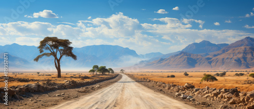 Fototapeta Naklejka Na Ścianę i Meble -  Gravel road and beautiful landscape in Namibia
