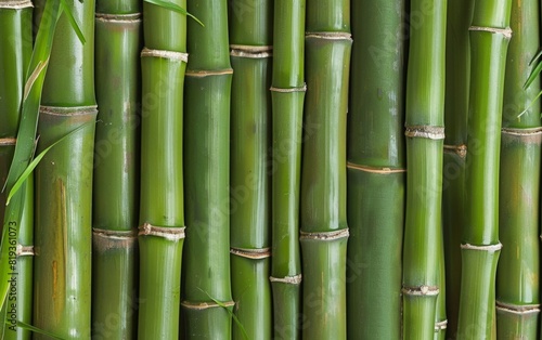 Textured bamboo stalks closely lined up in a natural pattern.