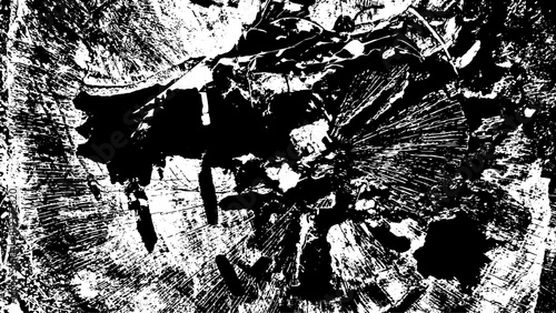9-42.  Wood Section Texture - Illustration. Nite Vector Texture in Old Trees	
