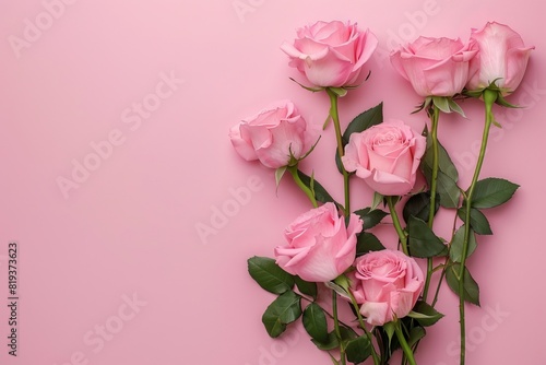 pink roses on pink background, greeting card