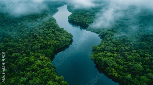 Aerial View of a Serpentine River Winding Through Lush Rainforest Canopy