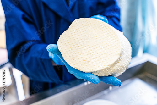 Cheese formation. Close-up of a man in gloves laying out cheese in plastic molds. Small-scale cheese production. Selected focus. High quality photo