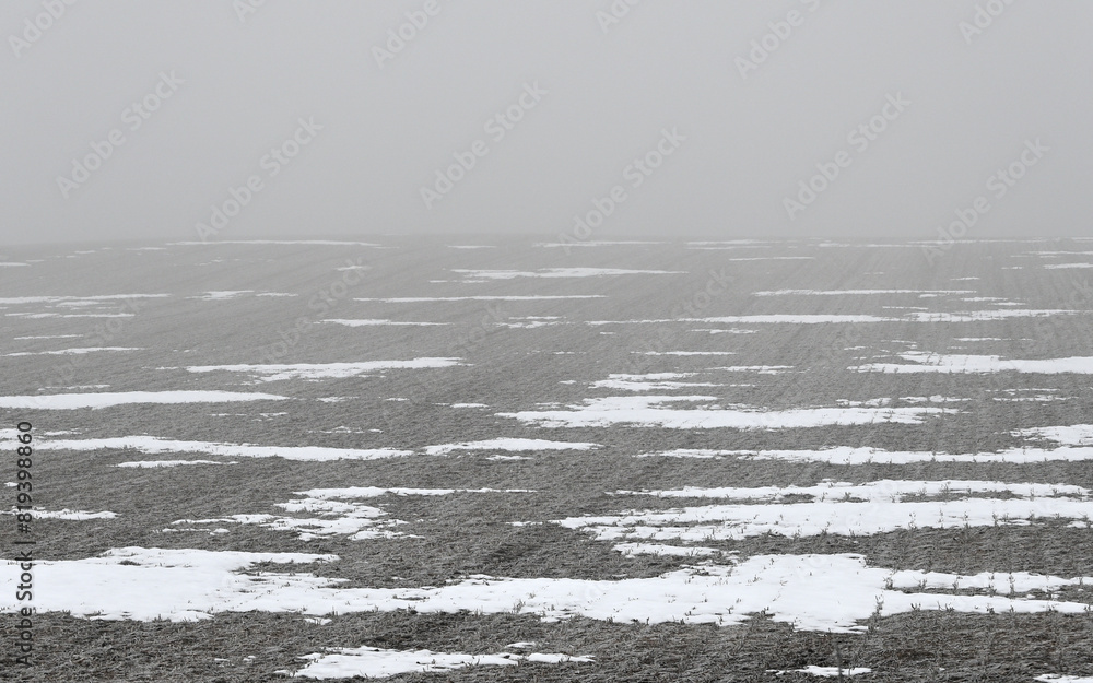 Winter Farm Field in the Fog