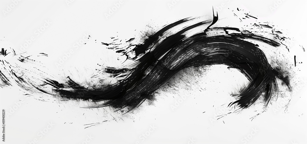 black and white splashes black and white splashes