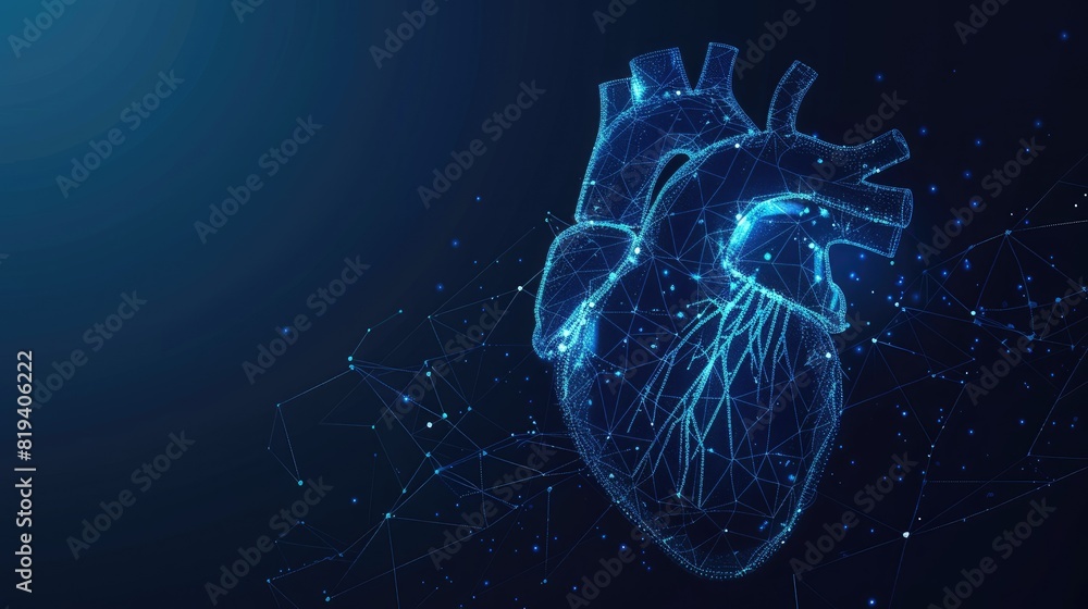 background Abstract blue human heart. Heart anatomy. Healthcare medical concept background Abstract blue human heart. Heart anatomy. Healthcare medical concept
