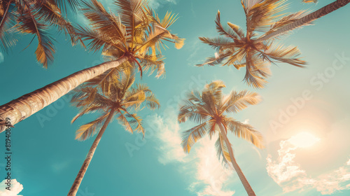 Sunny tropical summer background with palm trees and blue sky. Vintage filter effect.