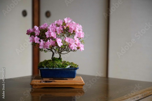 Wallpaper Mural 盆栽（皐月） Torontodigital.ca