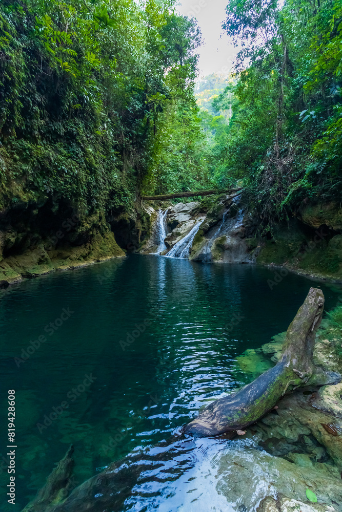 Naklejka premium 3 Caídas, Finca Sacmoc, Cobán, Guatemala
