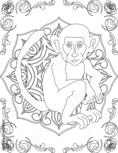 Monkey on Mandala Coloring Page. Printable Coloring Worksheet for Adults and Kids. Educational Resources for School and Preschool. Mandala Coloring for Adults