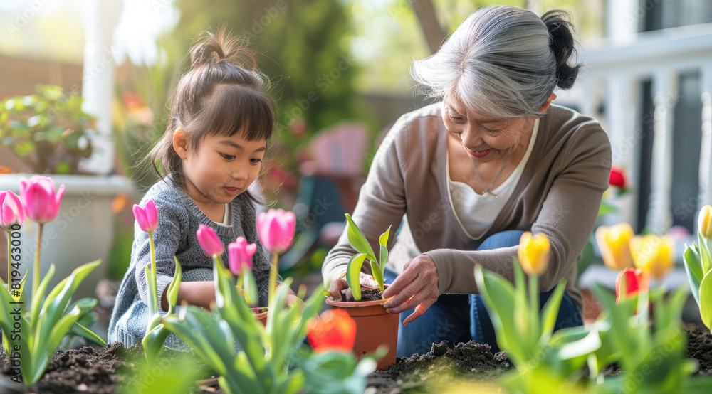 an older woman and her young daughter planting flowers in their backyard garden, springtime, sunny day, colorful plants