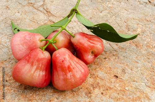 Bell Fruit and Leaves photo