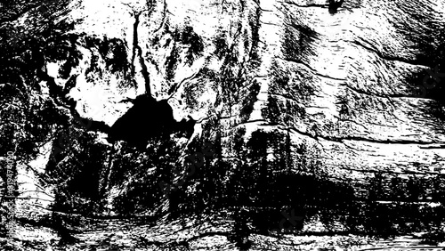 10-1. Wood Surface Texture Effect - Illustration Old Wood Black and White Vector Texture.	