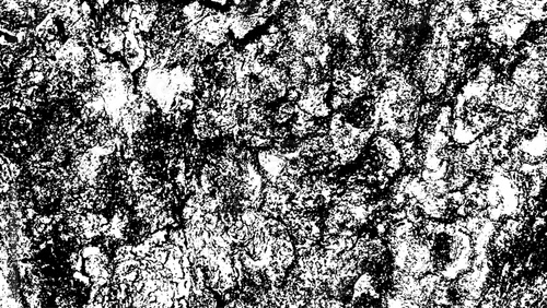 10-65. Wood Surface Texture Effect - Illustration Old Wood Black and White Vector Texture.	