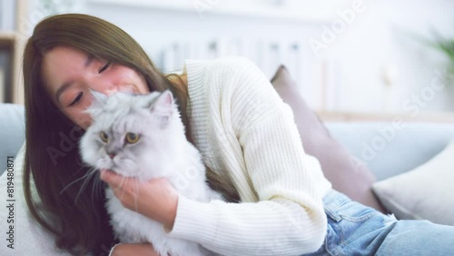 Portrait of young Asian woman holding cute cat. Female hugging her cute gray fluffy kitty. Adorable pet lover concept photo
