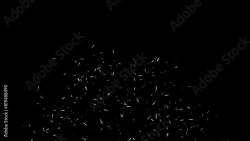 Realistic Silver Confetti party popper Explosion On Transparent Background,4k Alpha Matte Channel Scene.  photo