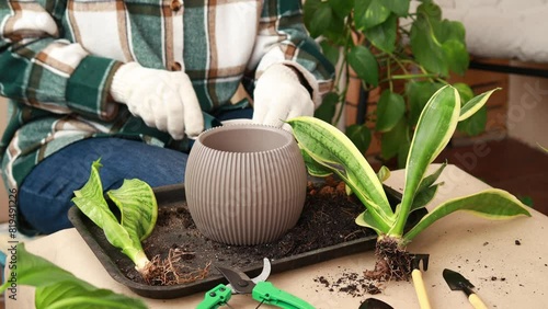 A woman pours expanded clay into a flower pot for drainage. Care and replanting of flowers and plants.