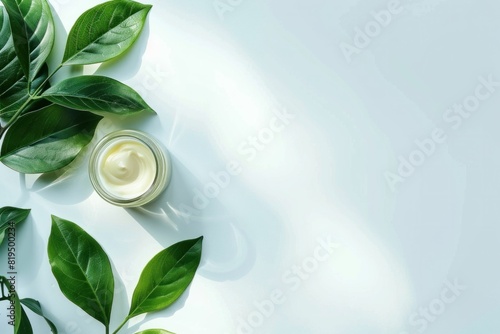 Green leaves and cream jar on white surface with copy space top view for beauty and wellness concept design