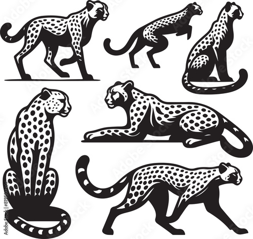 cheetah bundle vector