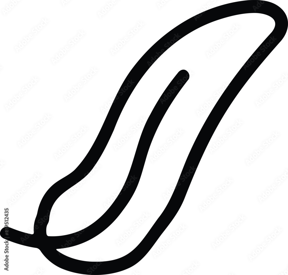 leaf Hand drawn illustrations in line art style leaf Hand drawn illustrations in line art style
