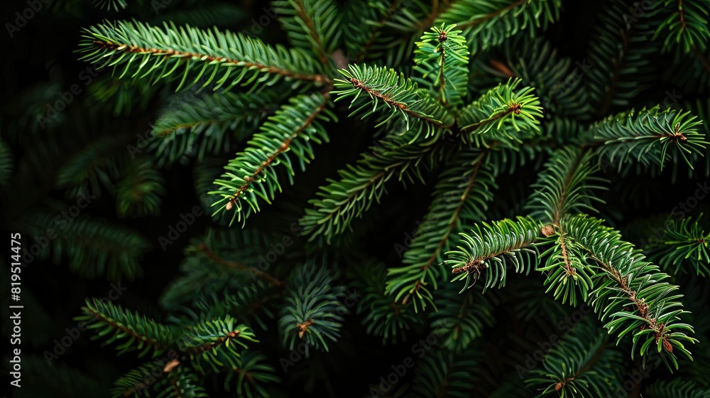 Beautiful Christmas Background with green fir tree brunch close up. Copy space Beautiful Christmas Background with green fir tree brunch close up. Copy space