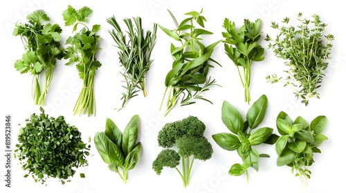 Assortment of Fresh Green Herbs and Leafy Vegetables for Healthy Cooking and Salad