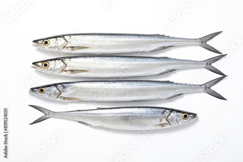 Four Fresh Silverfish On White Background photo