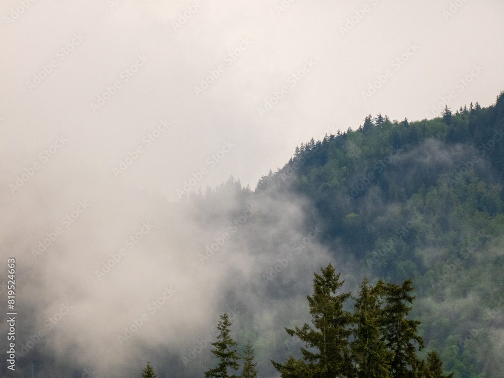 fog in the mountains