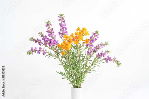 Purple and Yellow Flowers in a Vase
