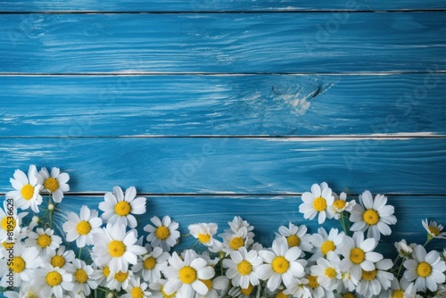 blue wooden background with white and yellow flowers. © tydeline