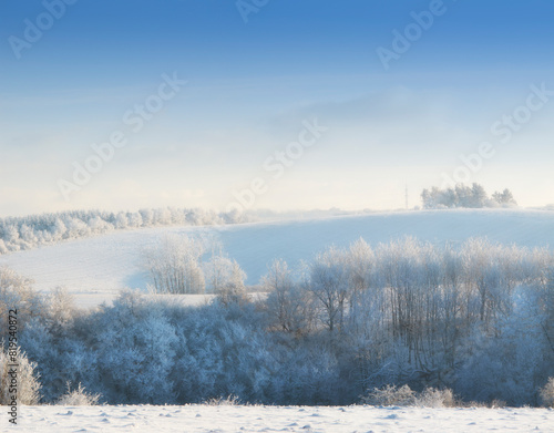Nature, snow and trees in landscape, morning and clouds in sky outdoor, calm and space in forest. Environment, woods and winter in Canada, branches and texture of plants, earth and weather of ice © peopleimages.com