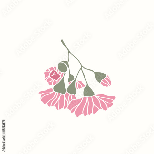 Flat vector Australian native eucalyptus illustration