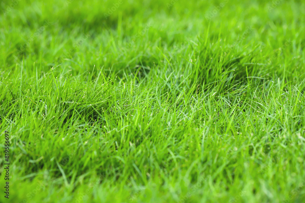 Green grass background in the football field Green grass background in the football field