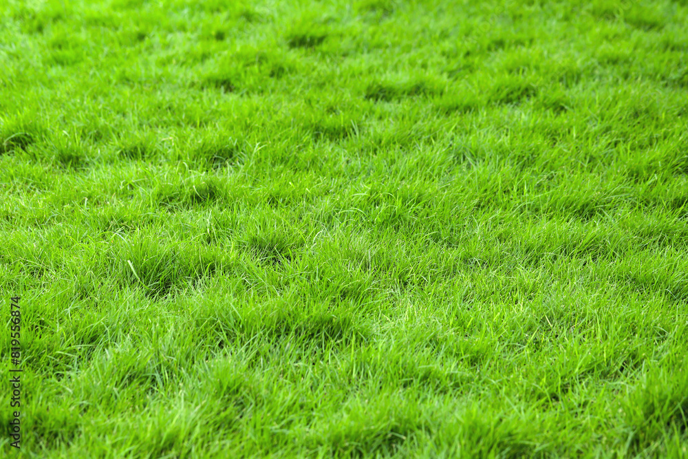Green grass background in the football field Green grass background in the football field