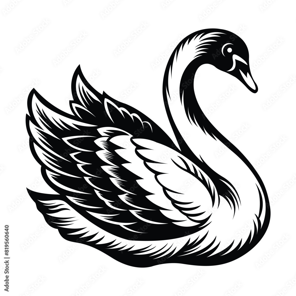 silhouette of a swan on white silhouette of a swan on white