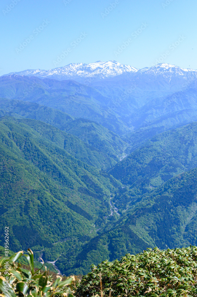 Fototapeta premium 荒島岳から見た初夏の白山