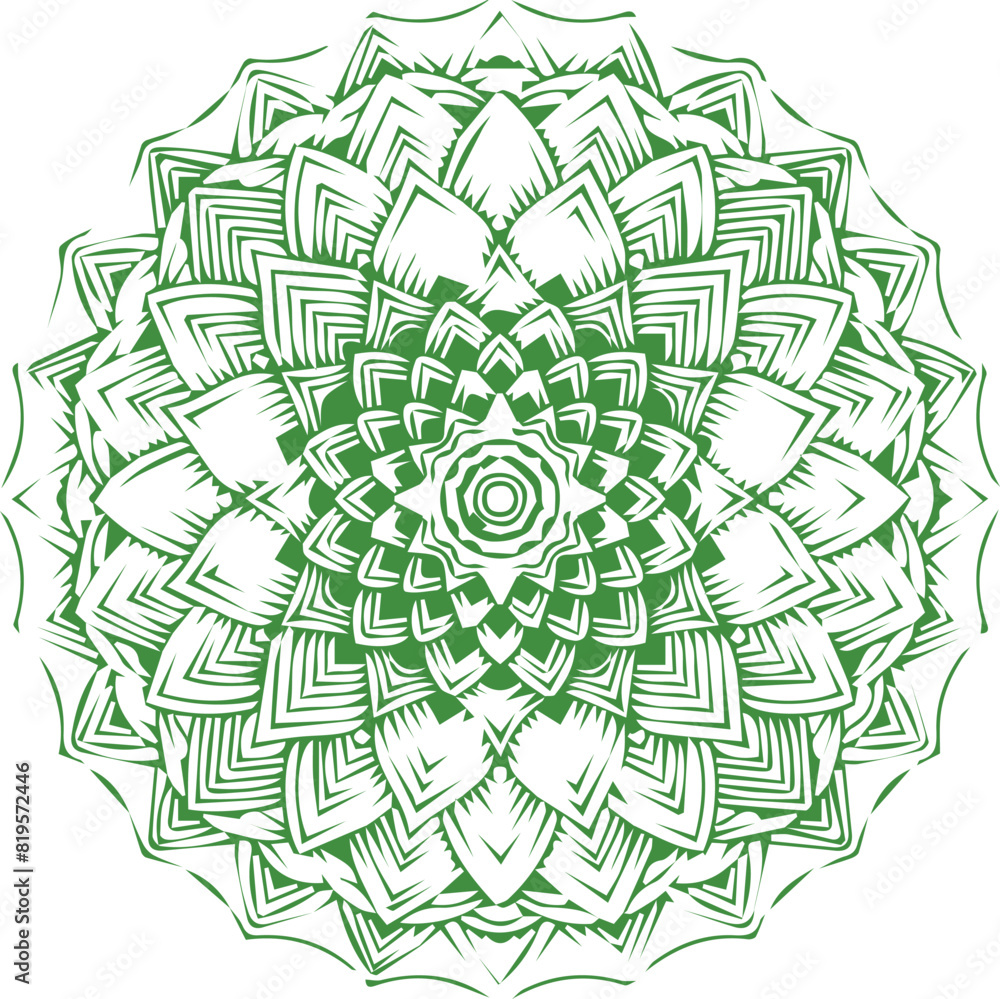 Fototapeta premium Beautiful mandala art, vector mandala design