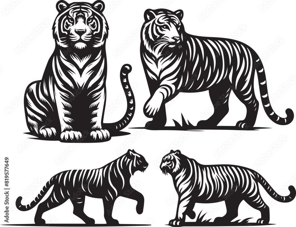 Obraz premium tiger bundle art ilastration