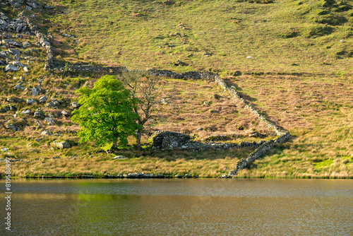 Llyn y Dywarchen destination scenic in the Eryri National Park, Wales. photo