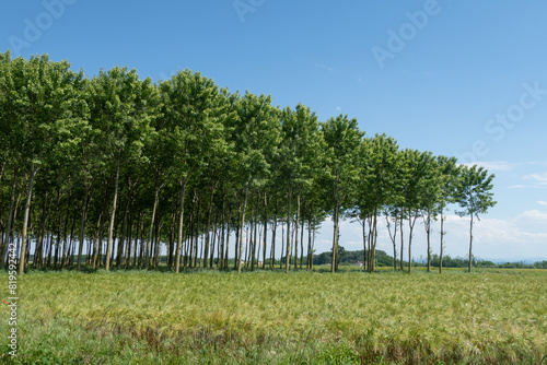 Obraz na płótnie Po Valley w salonie
